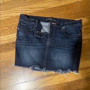 Express Denim Mini Skirt